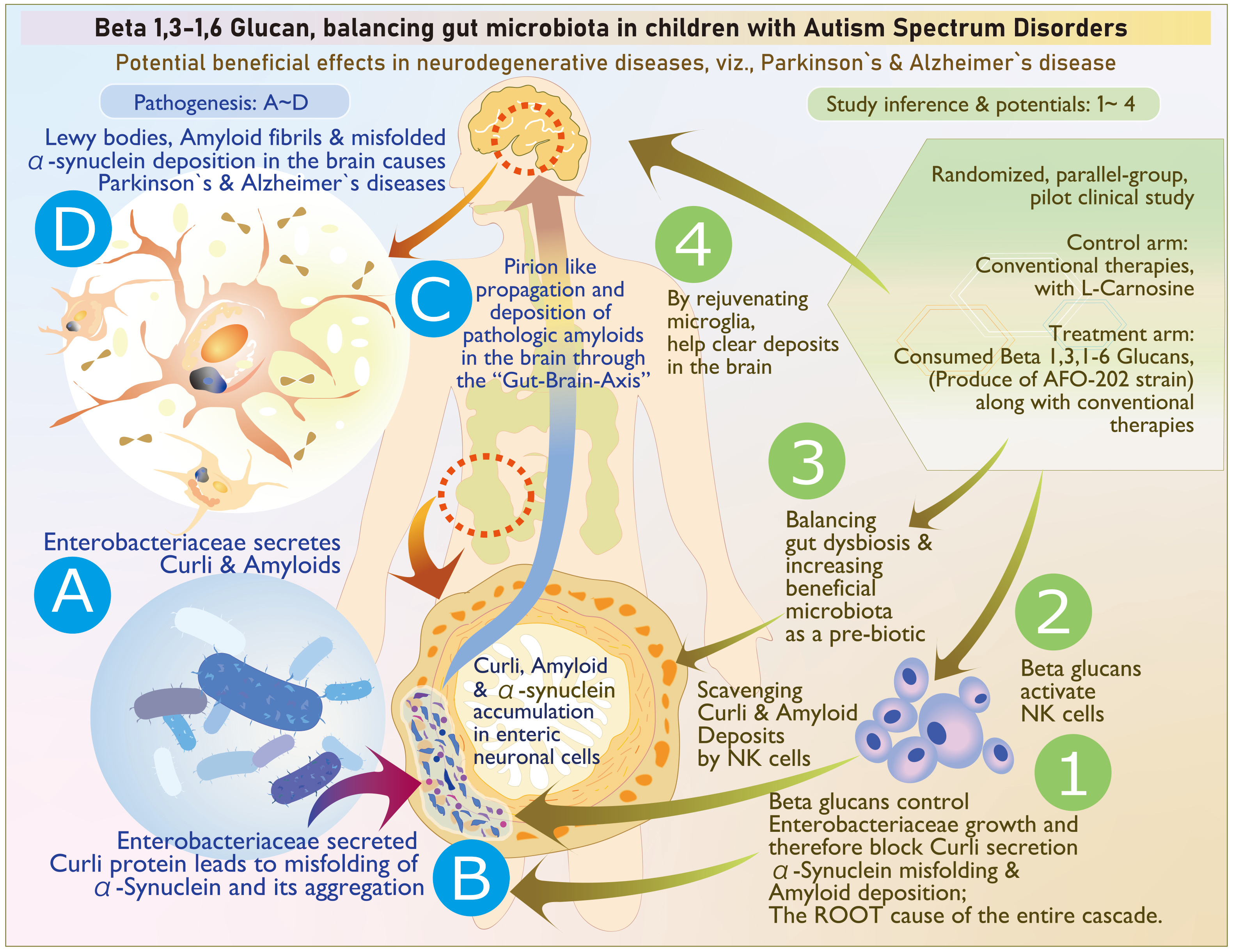 Leveraging the Gut microbiome to manage from neurodevelopmental to neurodegenerative illnesses