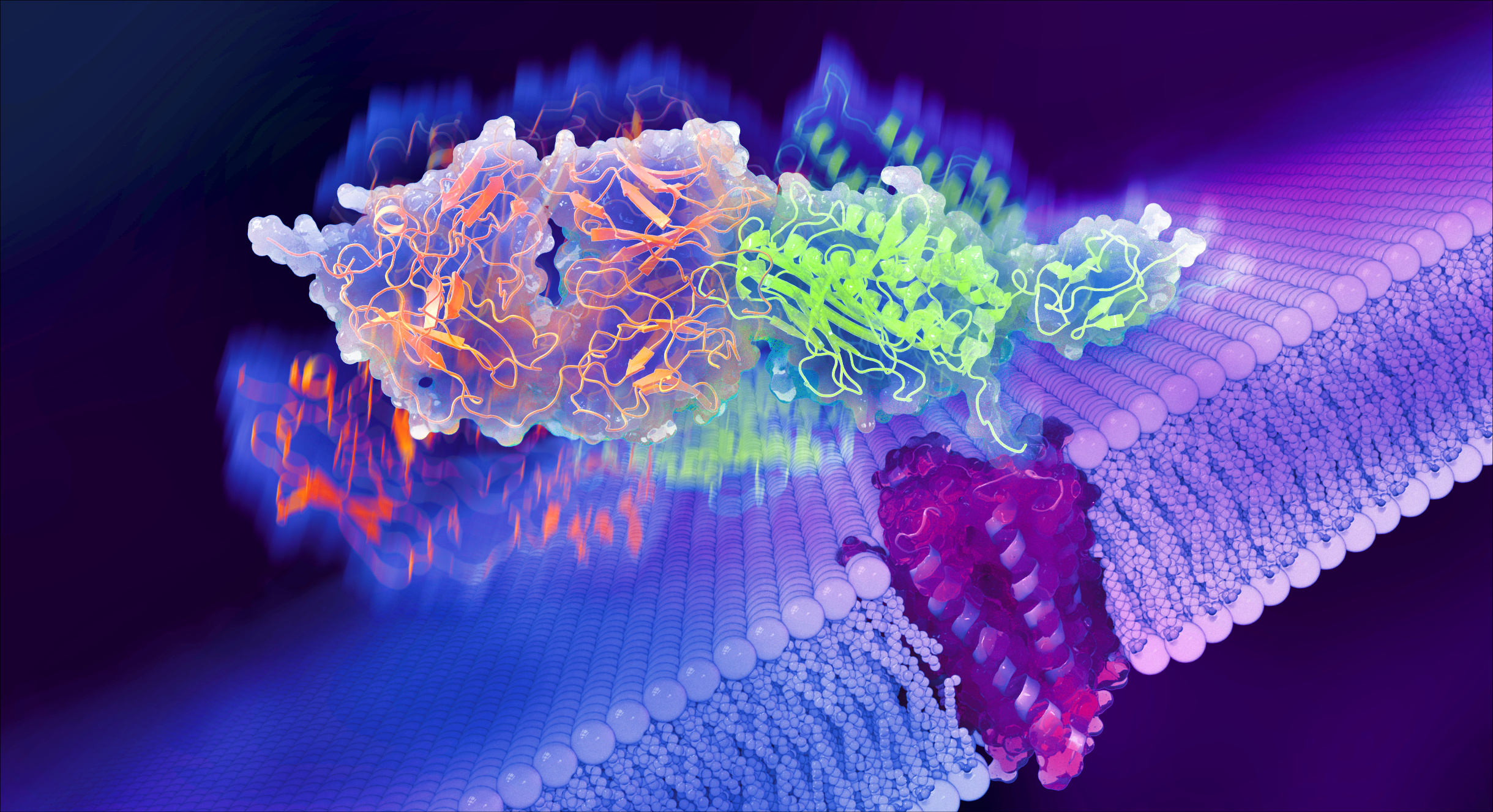A New Perspective on Adhesion GPCRs Activation Mechanisms