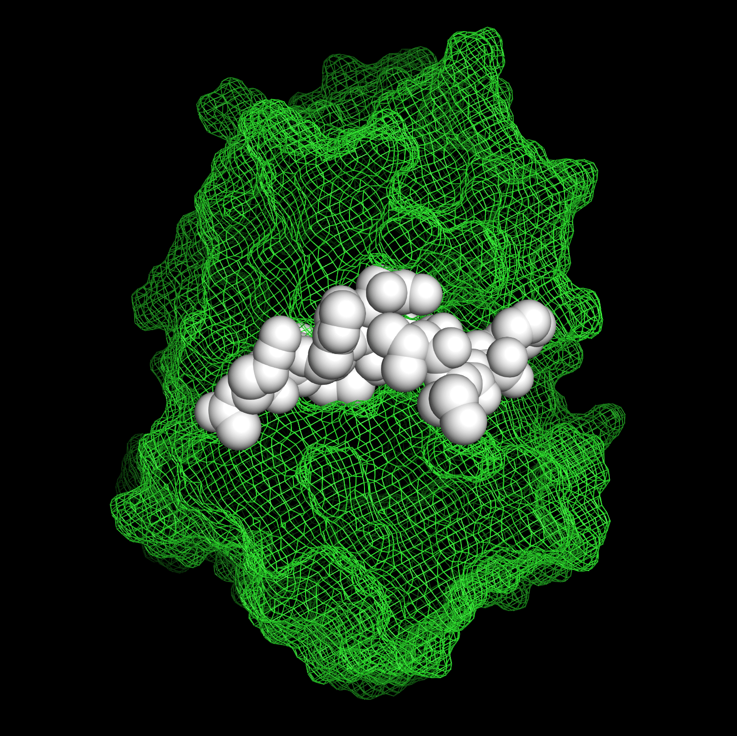 A new class of protease inhibitors delivered specifically to target cells