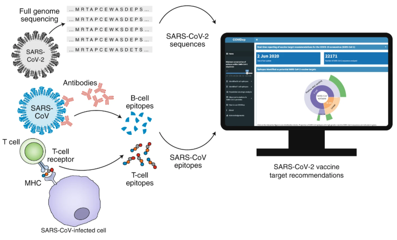 Introducing COVIDep - a platform for real-time reporting of vaccine target recommendations for SARS-CoV-2 
