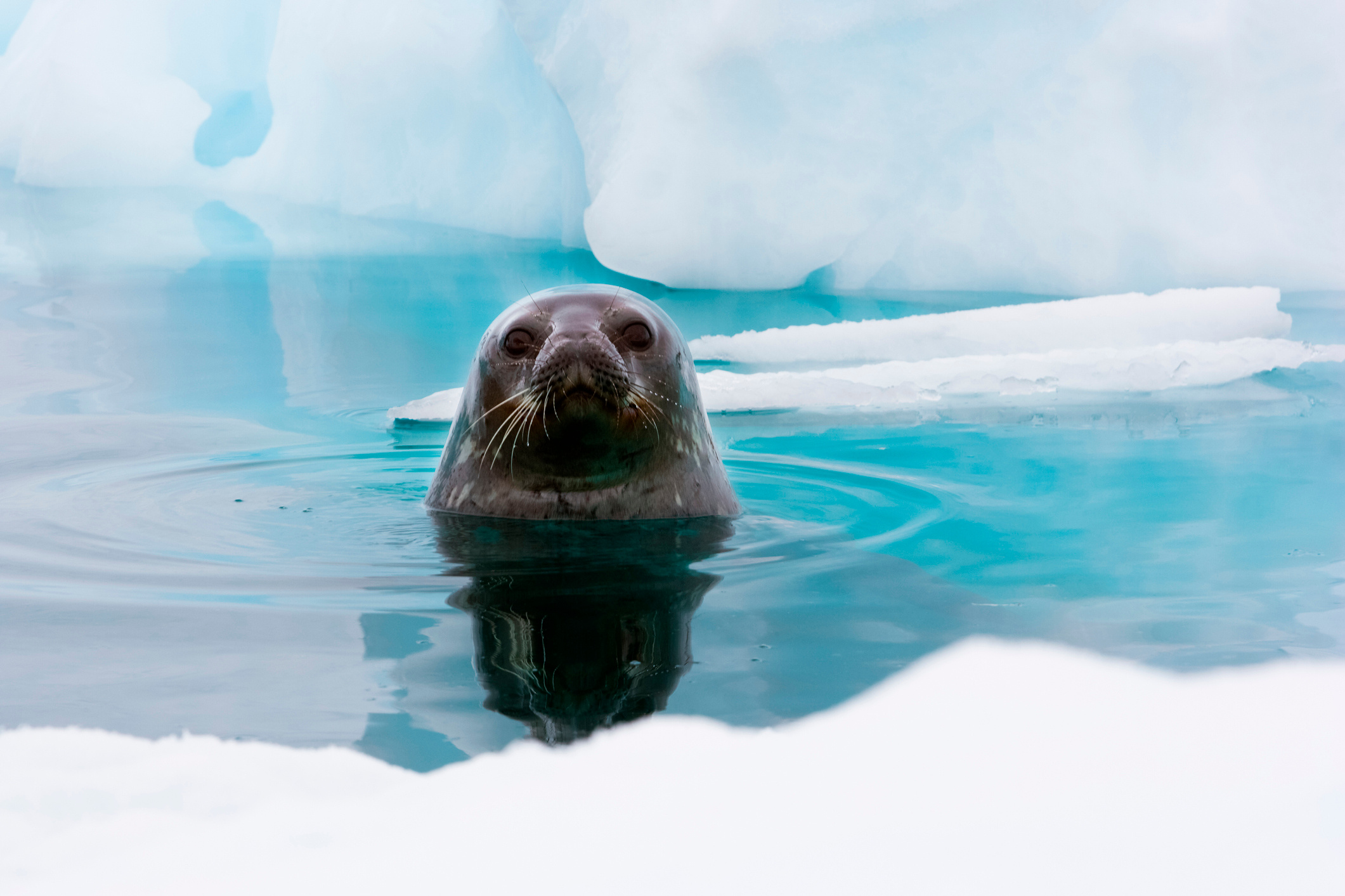 Microbiologists dive deep 