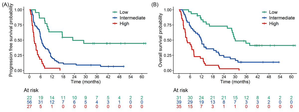 Longitudinal liquid biopsy predicts clinical benefit from immunotherapy in advanced non-small cell lung cancer