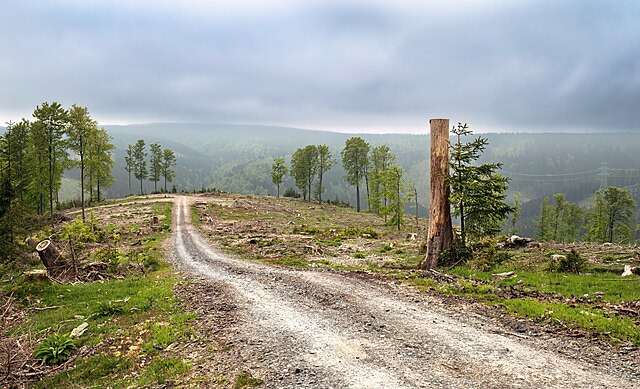 Regional bias in research on land use change, ecosystem restoration and zoonotic disease risk
