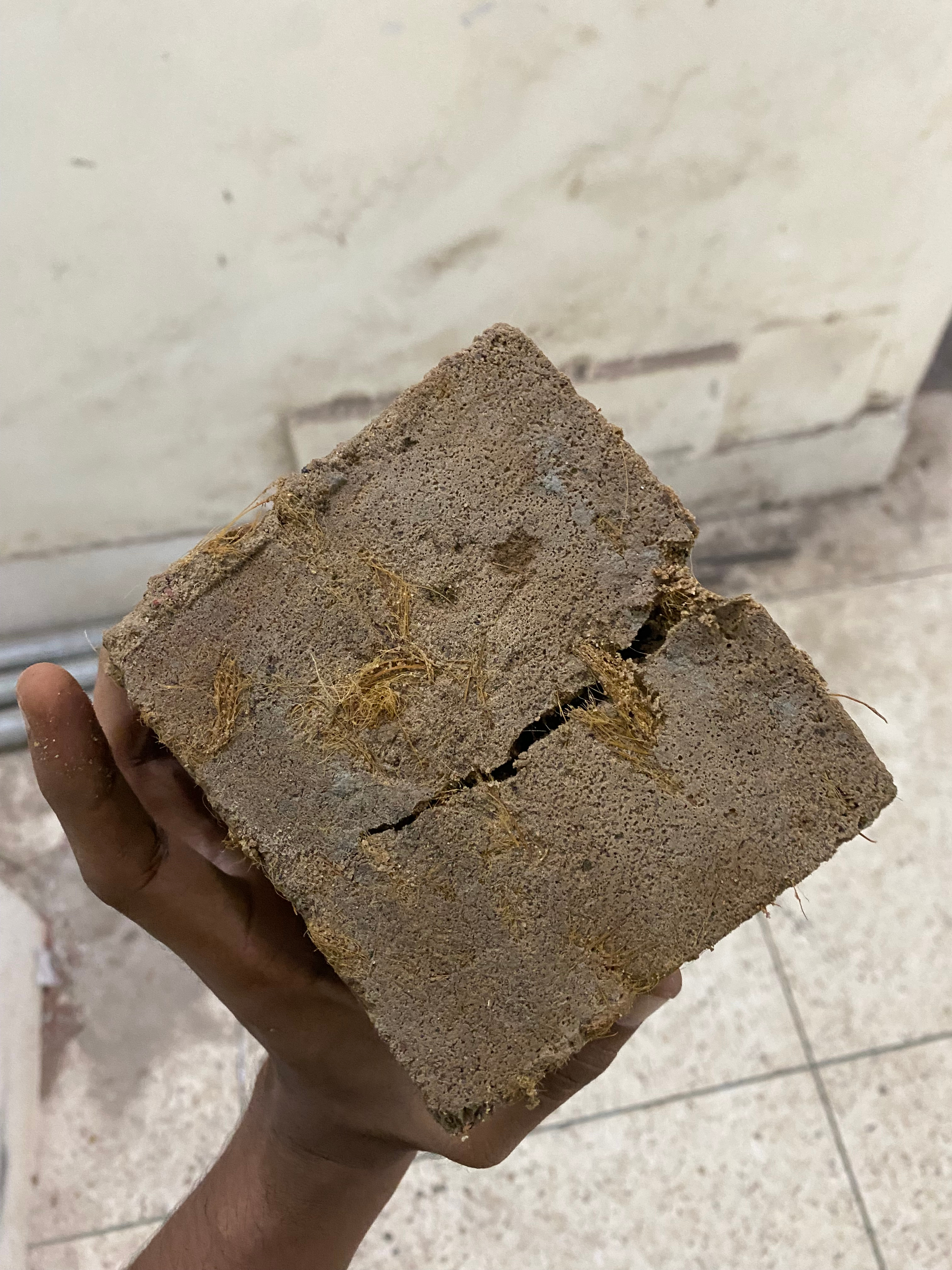 Suitability of using areca nut fiber as reinforcing material in compressed stabilized earth blocks (CSEB) for low-cost housing