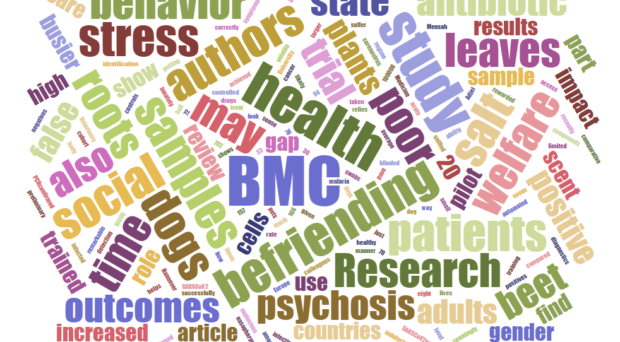 Highlights of BMC series - January 2025