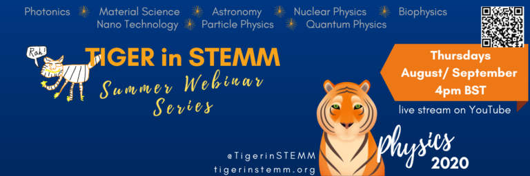 Diversity leads to impact: what we learned from running an inclusive and accessible physics webinar series