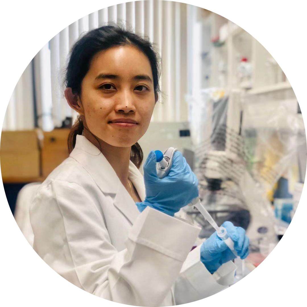 Go to the profile of Menglu Yang