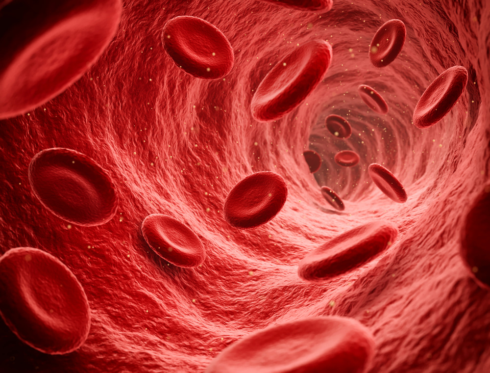 Call for papers: Mechanics and fluid dynamics in cardiovascular disease