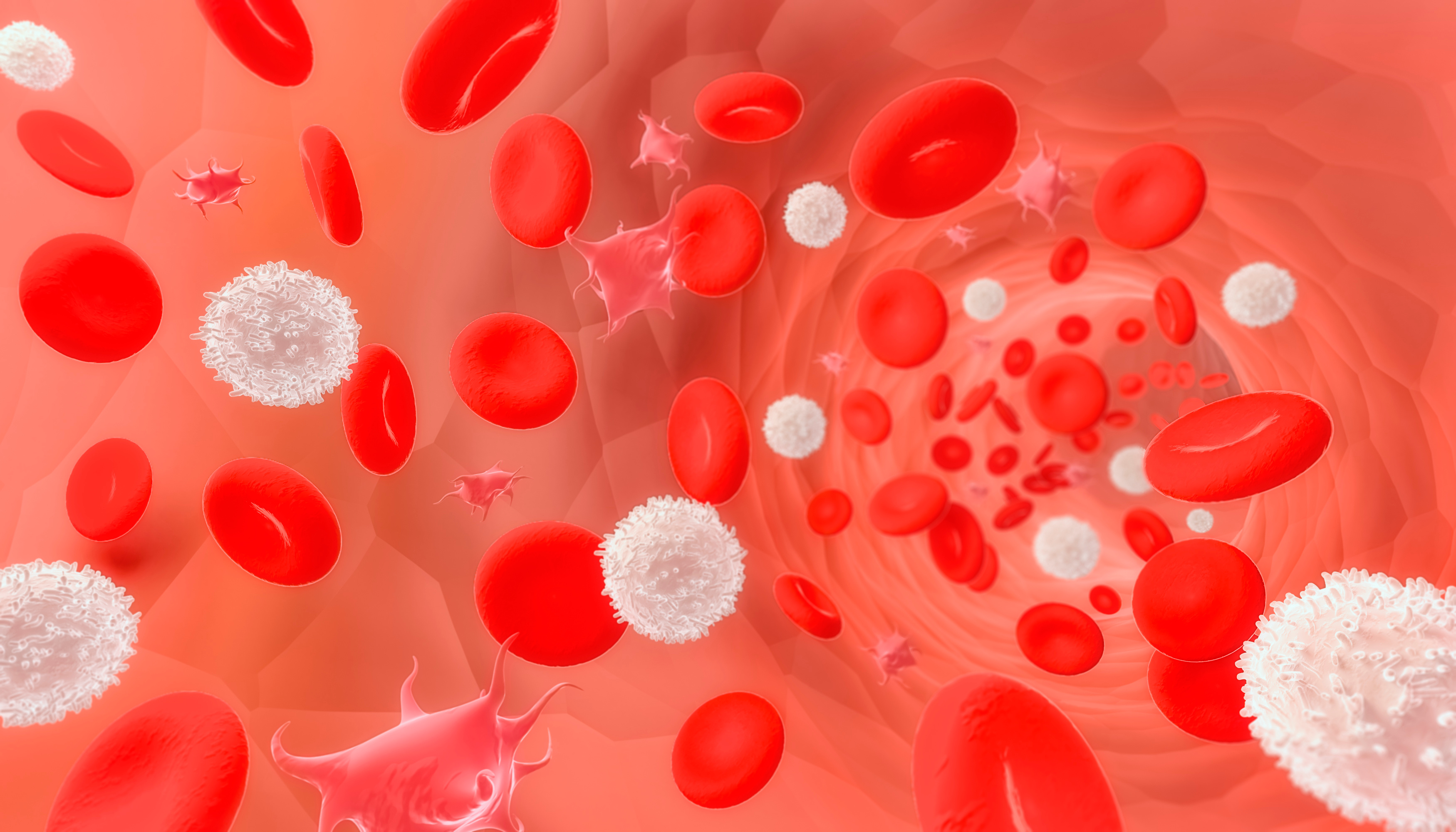 Mitochondrial Function Maintained in Ageing Blood Cells