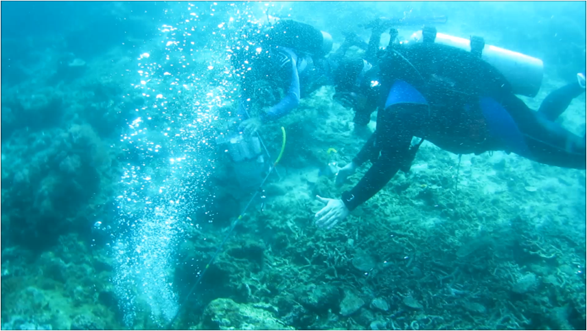 Beneath the Waves: Exploring Submarine Groundwater Discharge