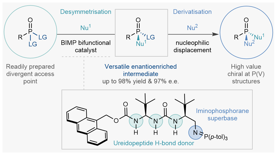 A Chiral Bifunctional Superbase Catalyst Forges P(V) Stereocenters by Nucleophilic Substitution