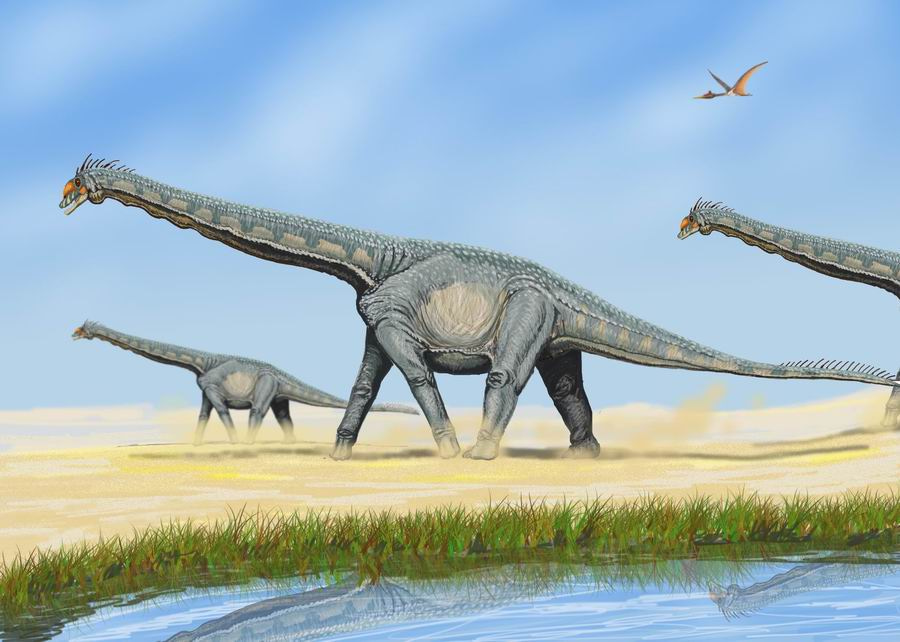 Herbivores fertilize planet