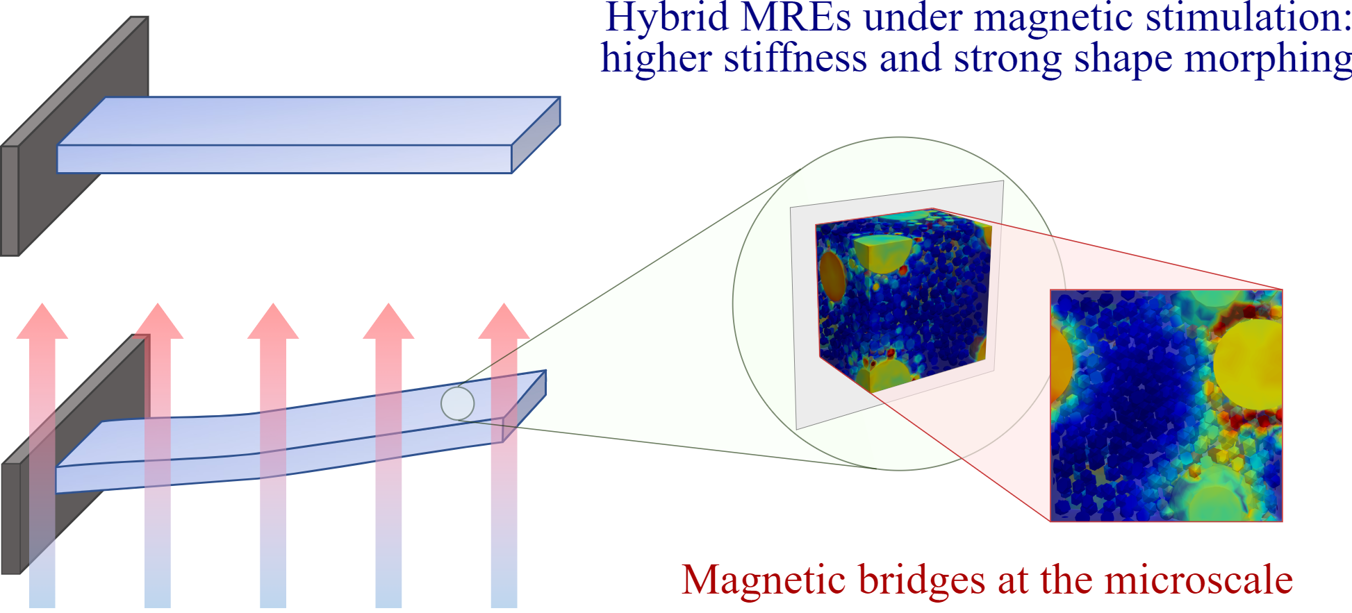Hybrid magnetorheological elastomers enable versatile soft actuators