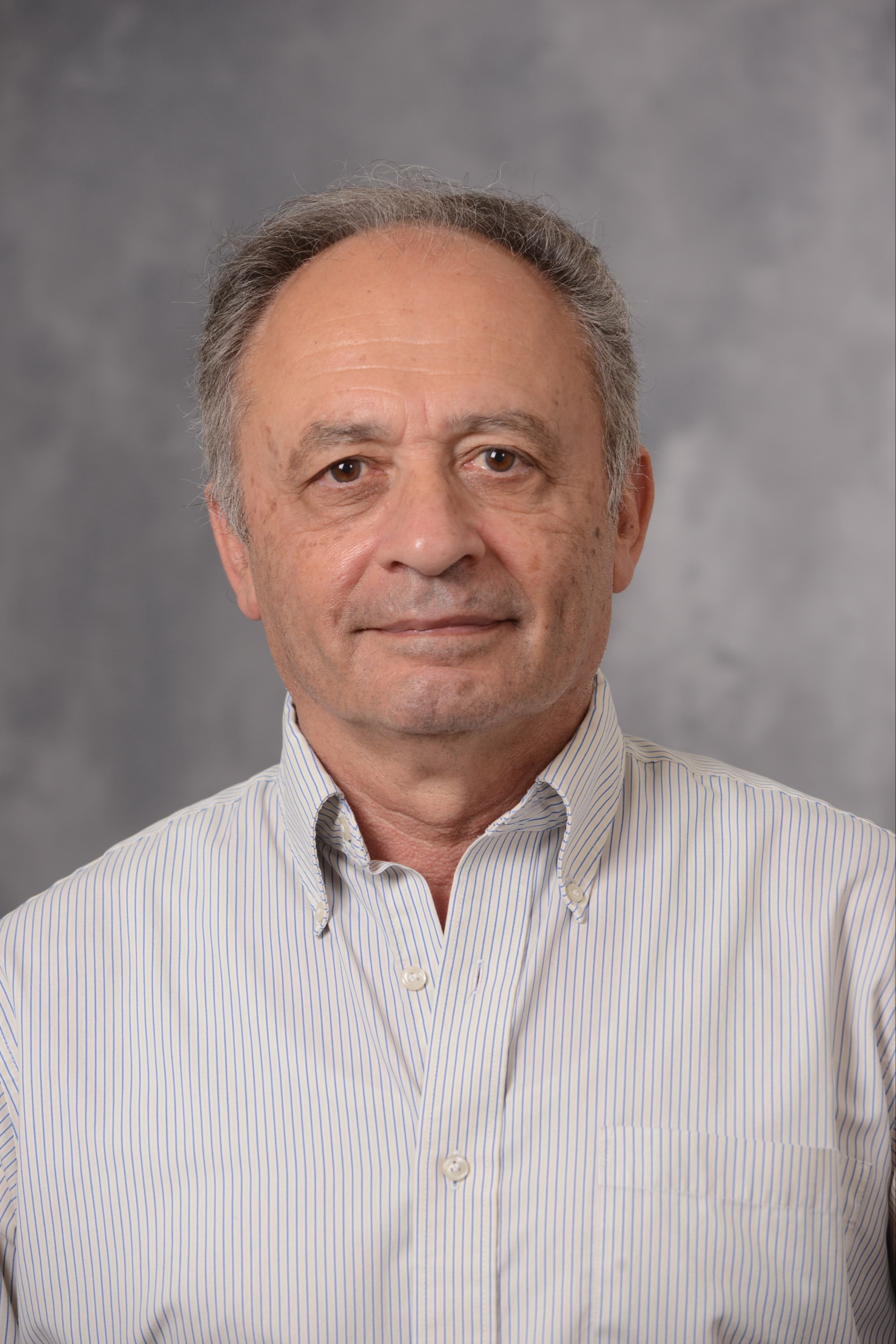 Go to the profile of David Milstein