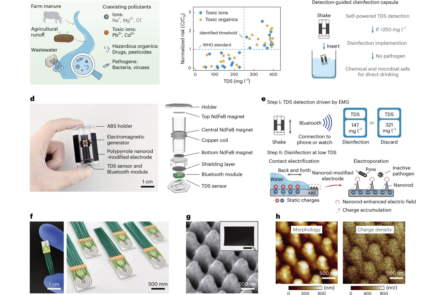 From Everyday Motion to Safer Water: A Self-Powered Floating Capsule for Water Detection and Disinfection