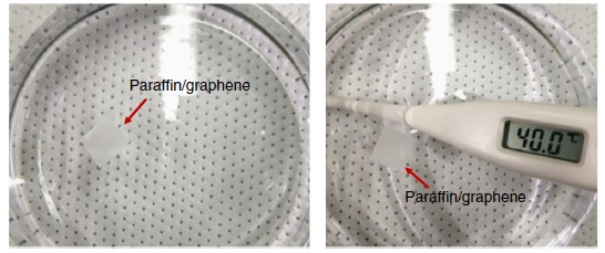 Paraffin-enabled graphene transfer