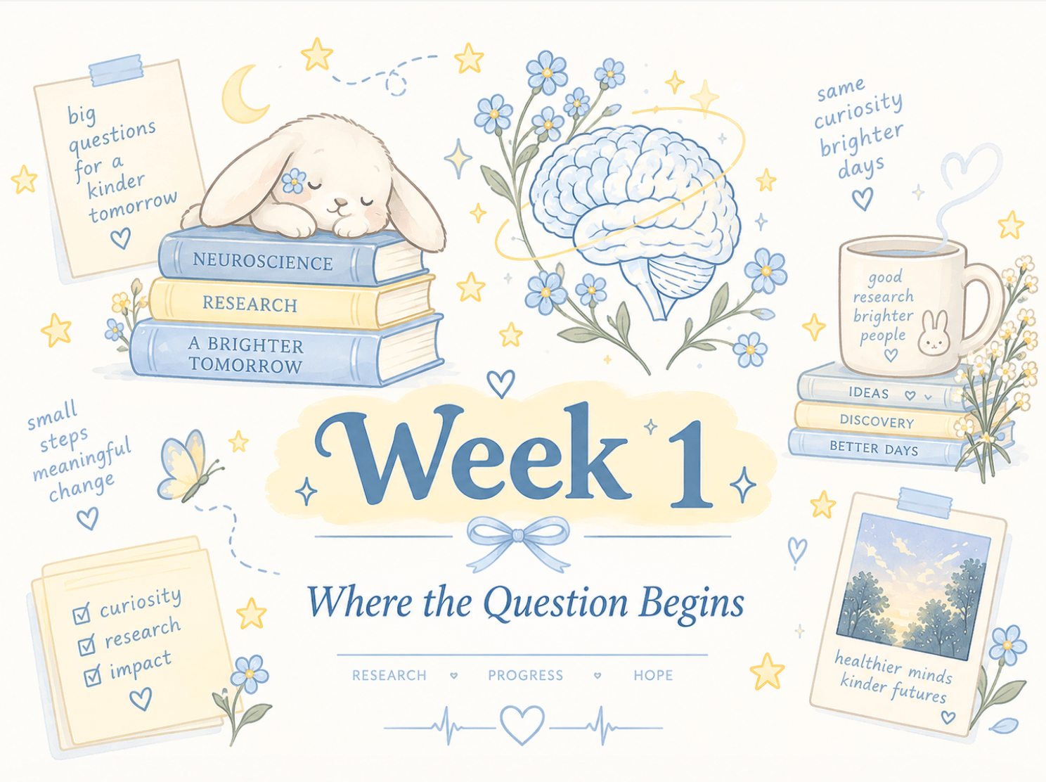 Where The Question Begins