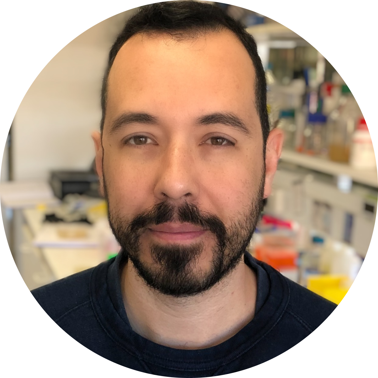 Go to the profile of Marcelo Monteiro Pedroso