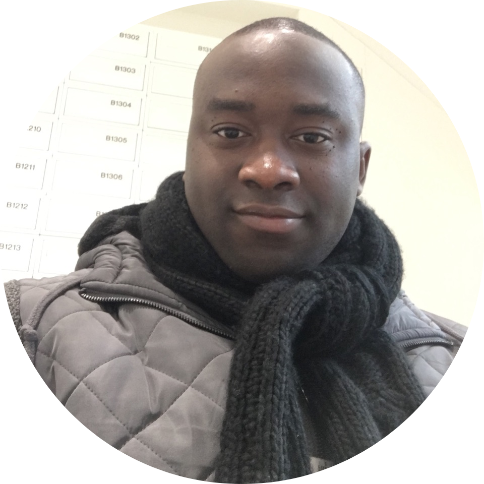 Go to the profile of Stephen O Aderinto