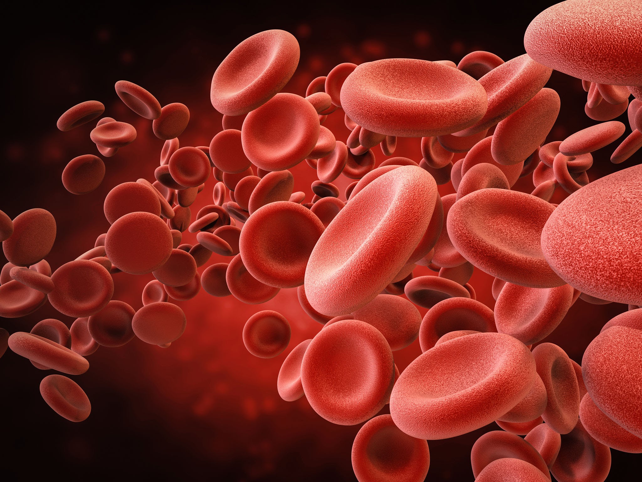 REDit: Engineering erythroid cells for therapeutic applications