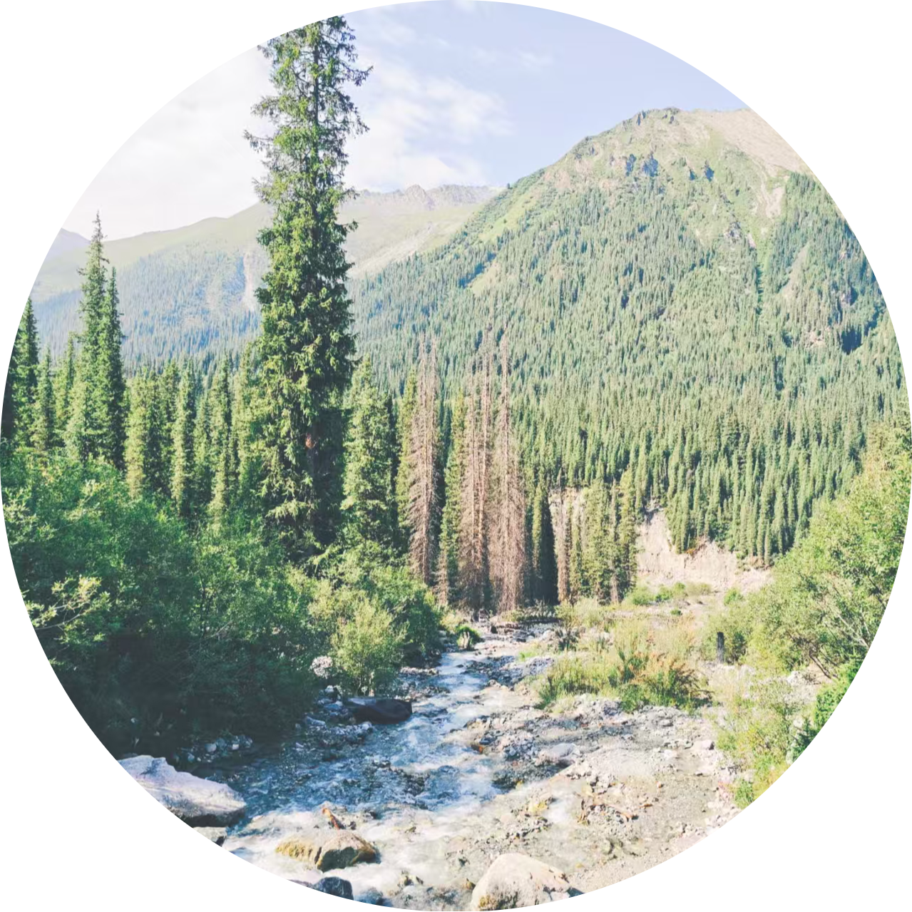 Go to the profile of Chen Chen