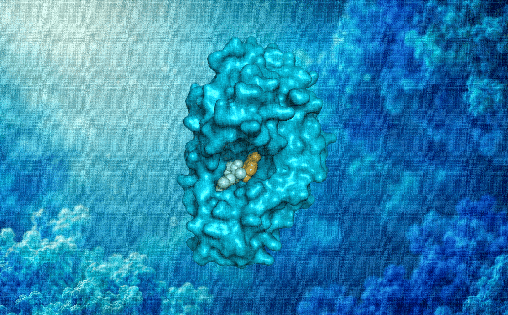 The Inhibition Assay That Wasn’t: How an Unexpected Result Led to a New Biocatalytic Platform