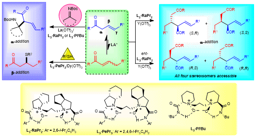 Lewis acid-catalyzed asymmetric reactions of β,γ-unsaturated 2-acyl imidazoles