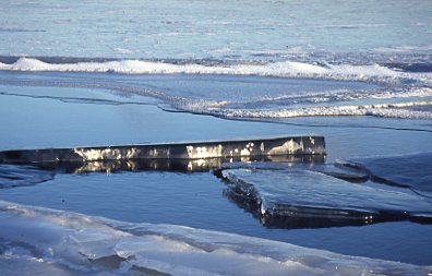 Lakes on Earth face critical white ice conditions