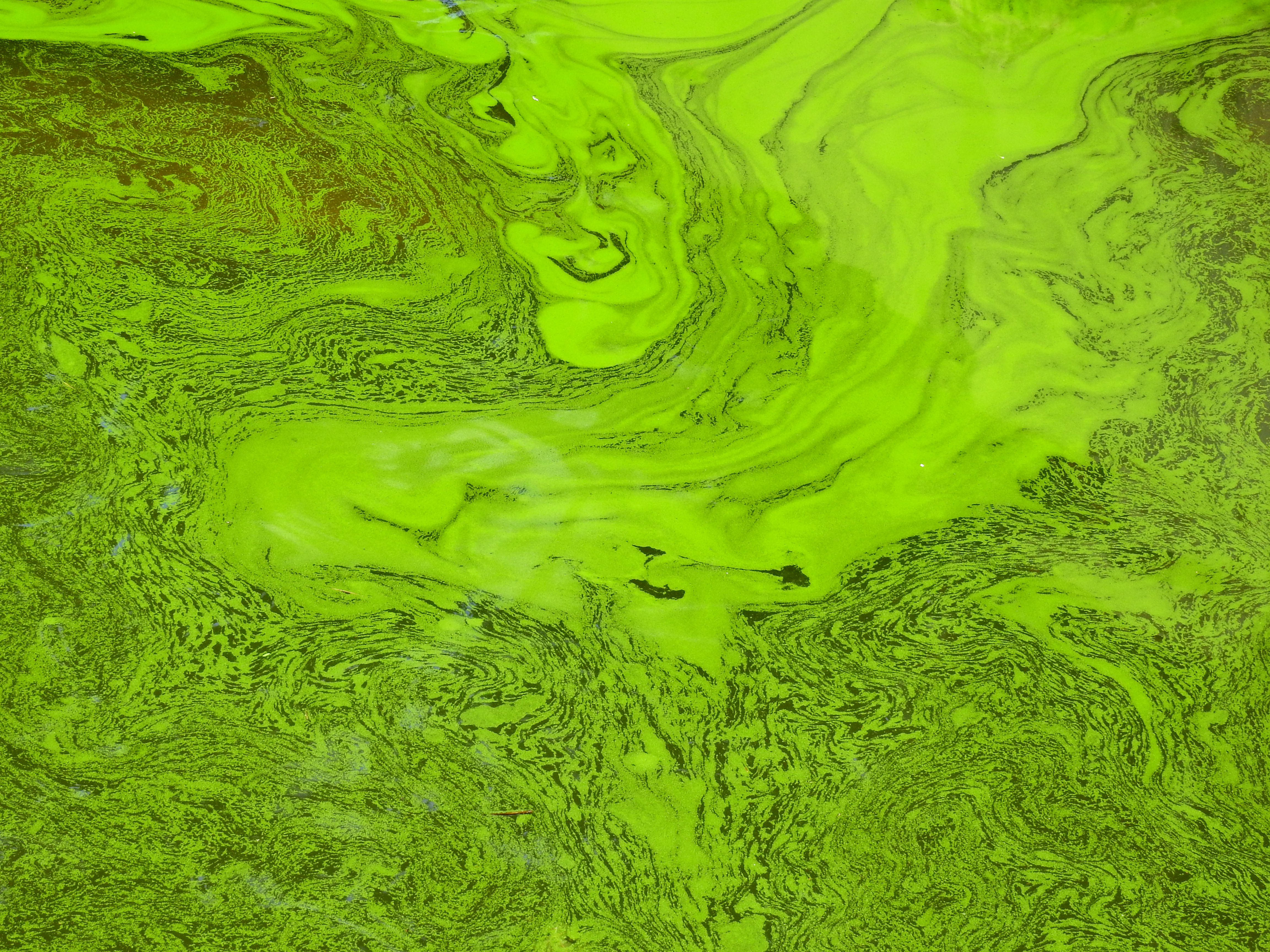 Sustainable Solutions for Pollution Control 
