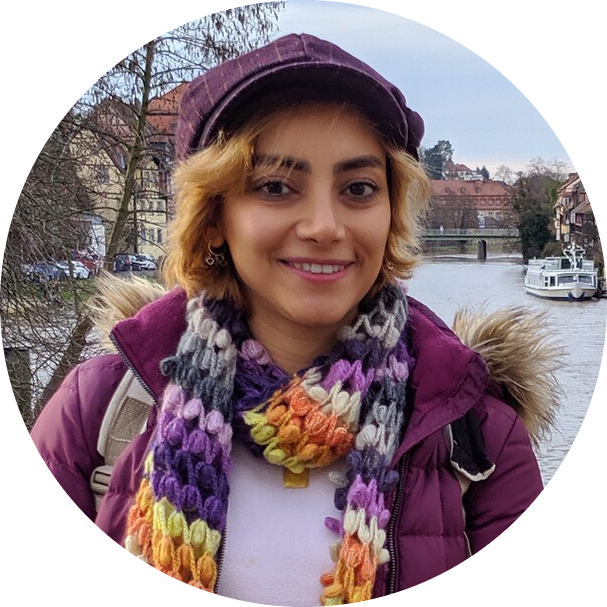 Go to the profile of Ferdows Afghah