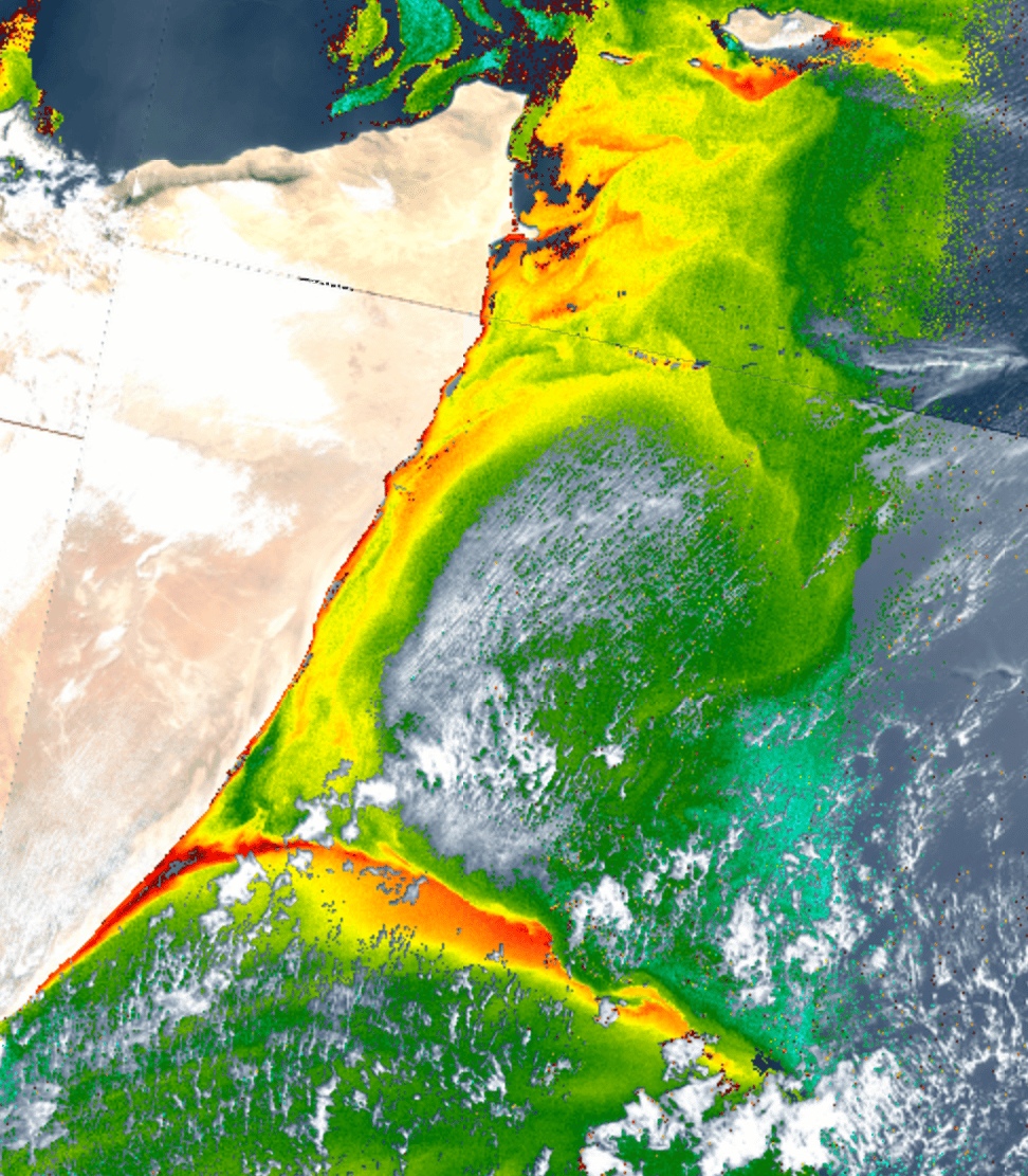  The Great Whirl absence reduces the Somali upwelling productivity