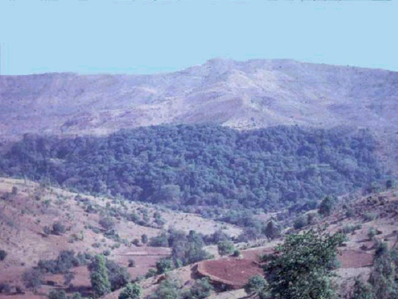 Biodiversity conservation