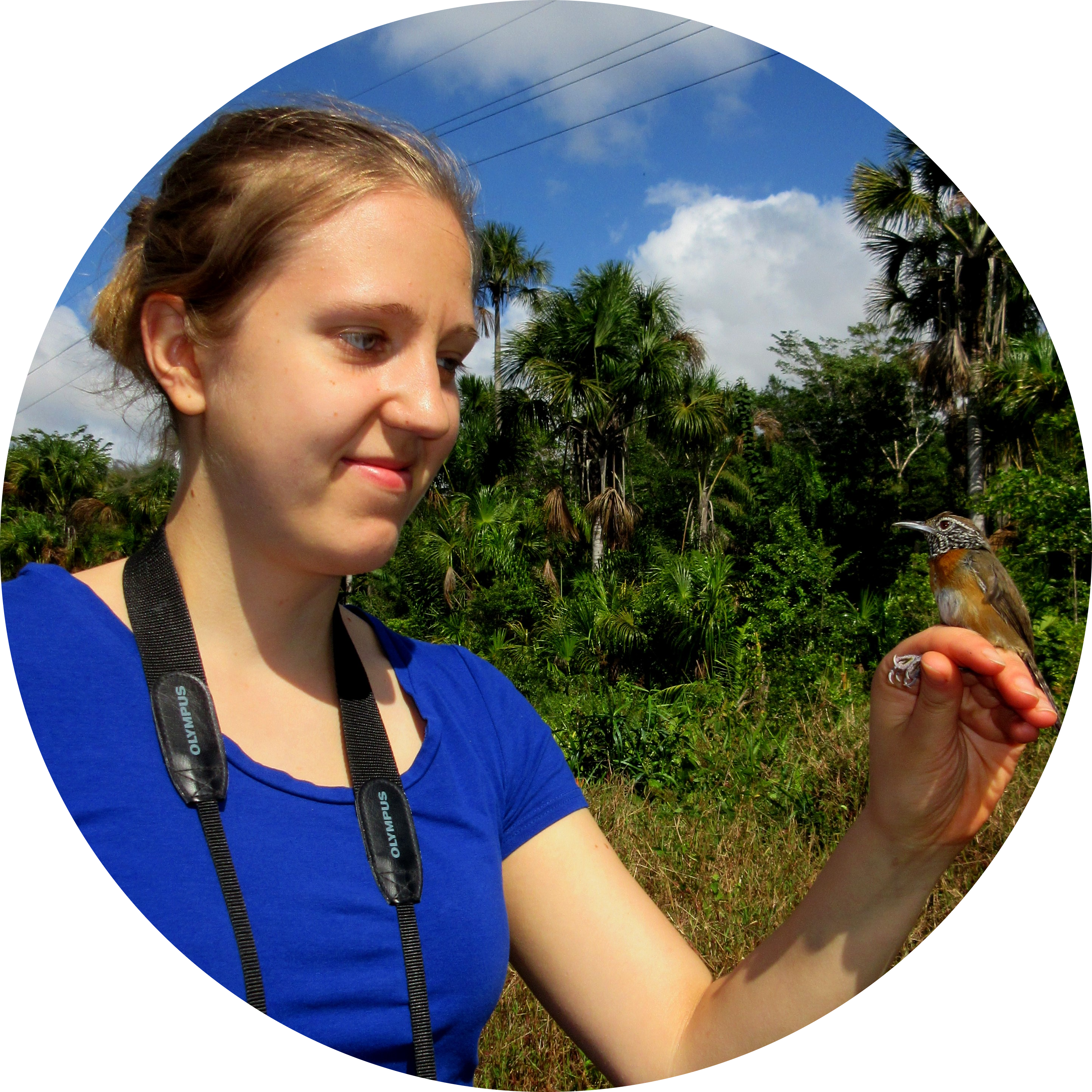 Go to the profile of Liisa Hämäläinen