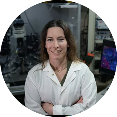 Go to the profile of Shani Stern