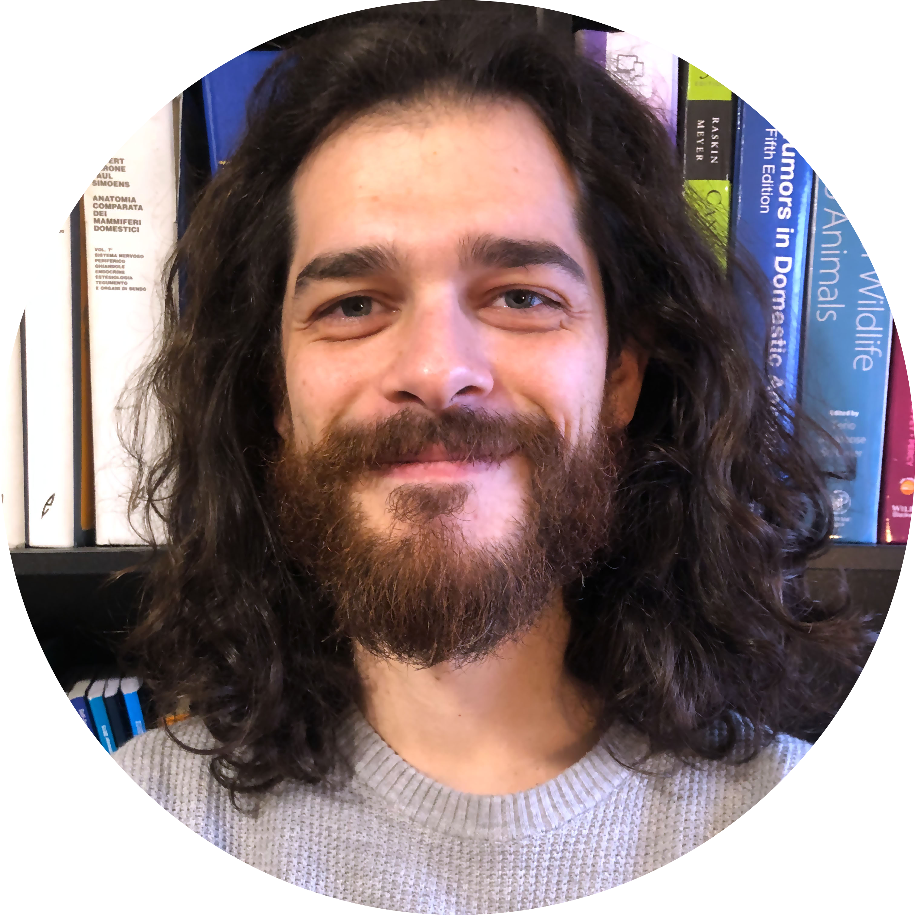 Go to the profile of Federico Armando