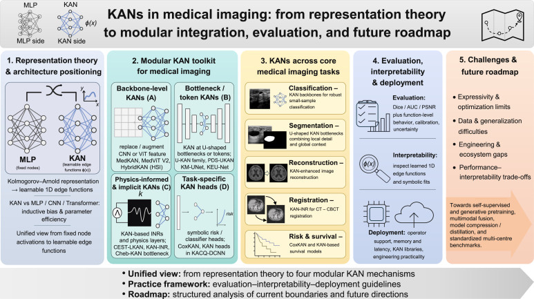 Kolmogorov–Arnold Networks for Medical Imaging: What Does the Evidence Actually Show?