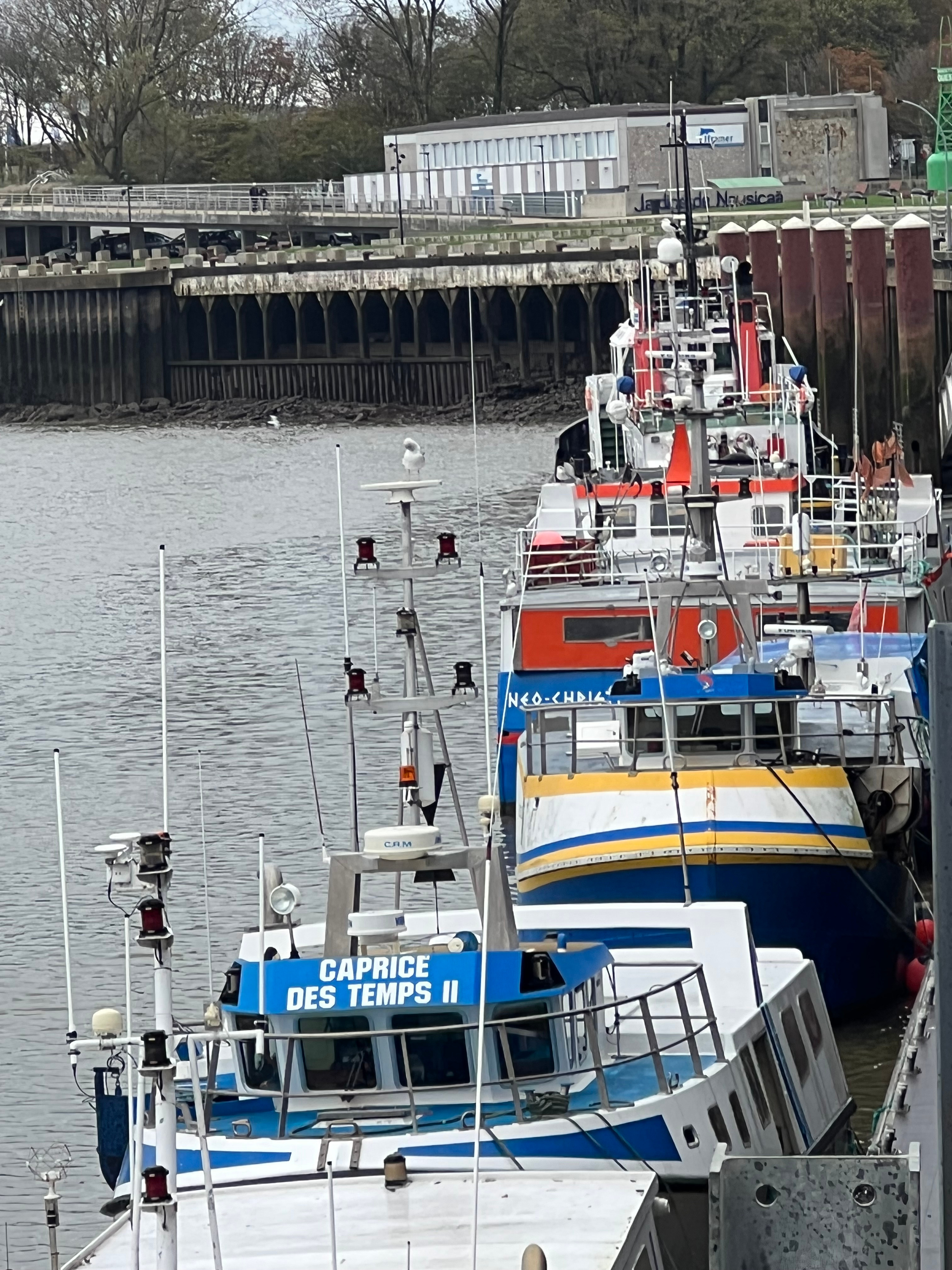 The collapse of North Sea cod: driven by climate or fishing?