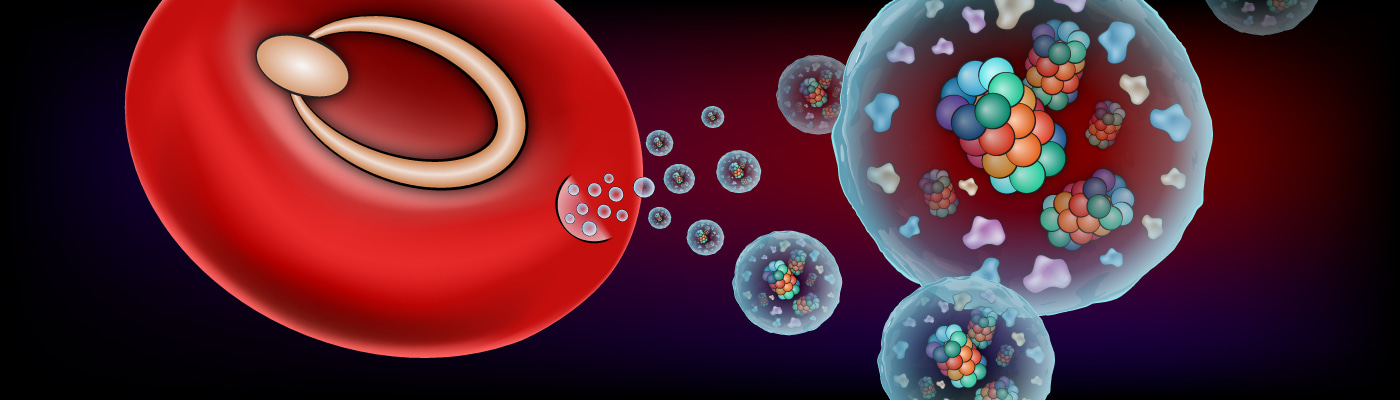 20S proteasomes exported by the malaria parasite promote its growth