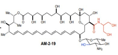 An antifungal and its malcontents: Taming ‘ampho-terrible’