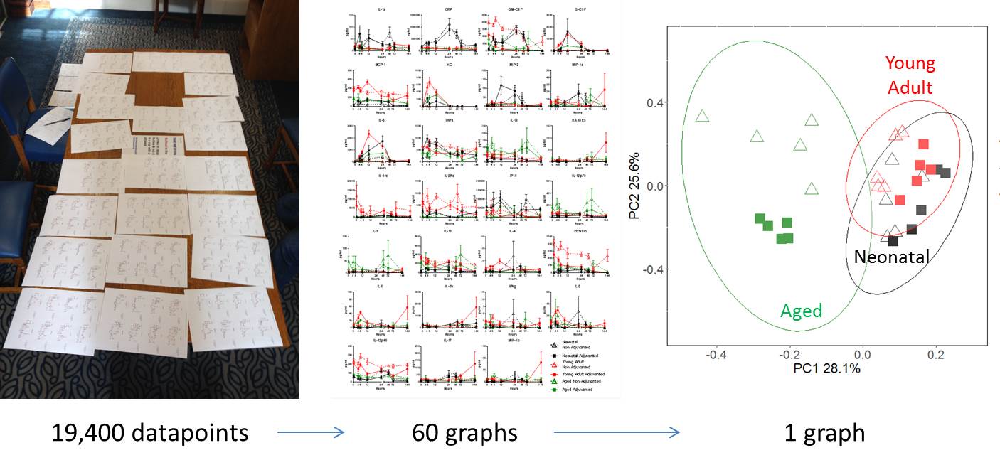 How to turn 19,000 data points into 1 graph.