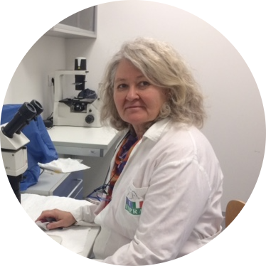 Go to the profile of Isabella Buttino