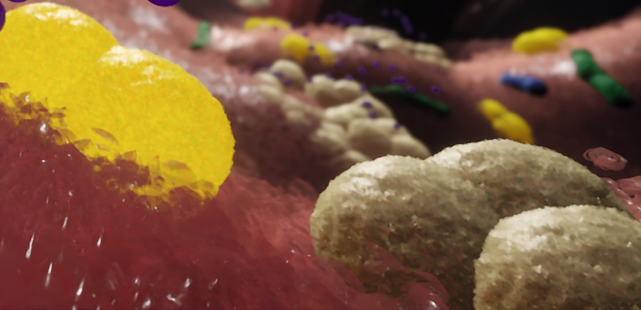 How emerging Staphylococcus epidermidis clones learned from Staphylococcus aureus how to be a pathogen 