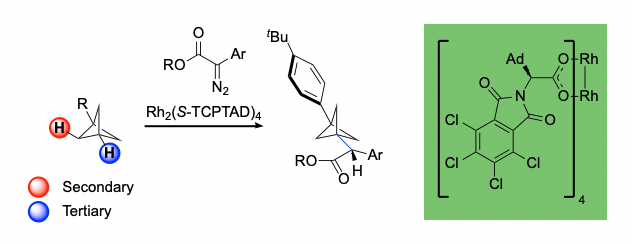 Transforming C–H Bonds on  Bicyclo[1.1.1]pentanes