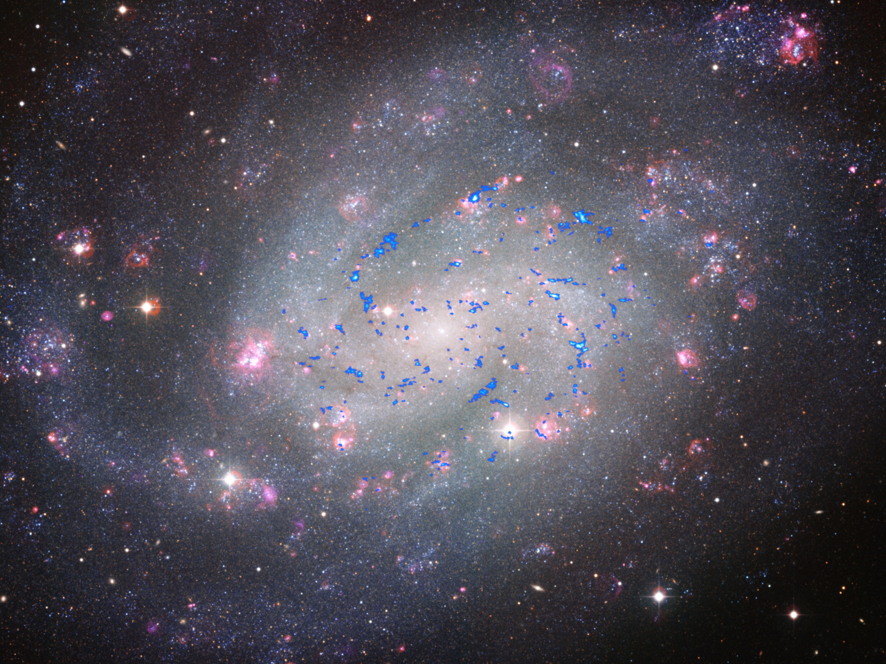 Fast and inefficient star formation due to short-lived molecular clouds and rapid feedback