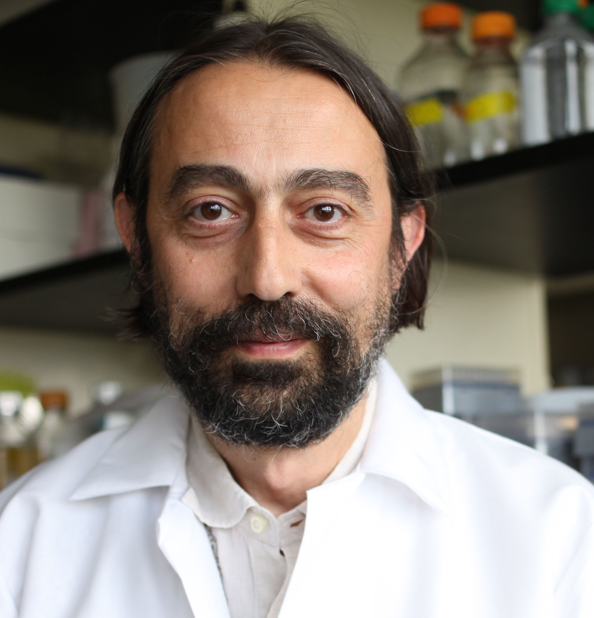 Go to the profile of Adolfo García-Sastre