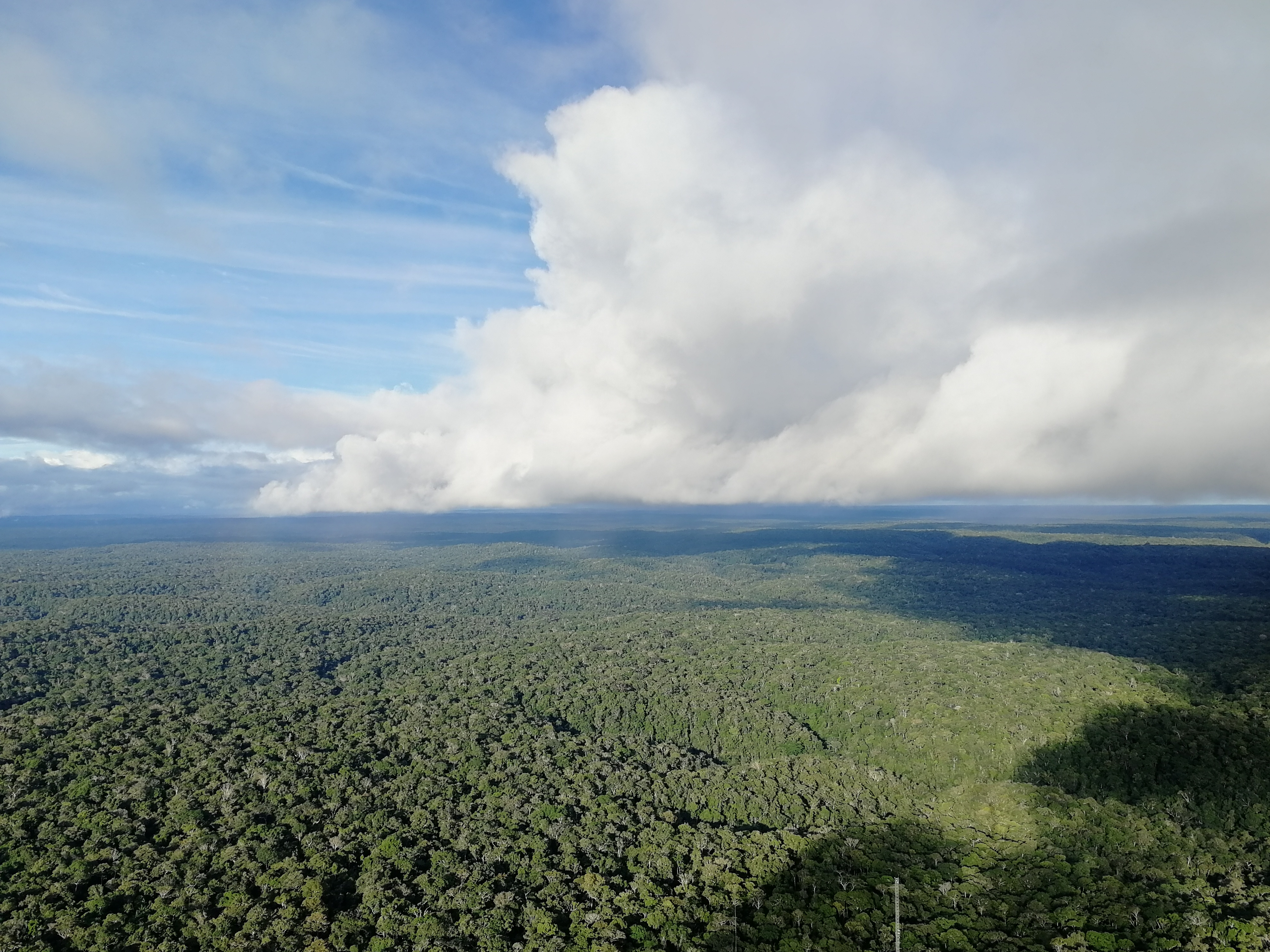 Tropical forests make it rain