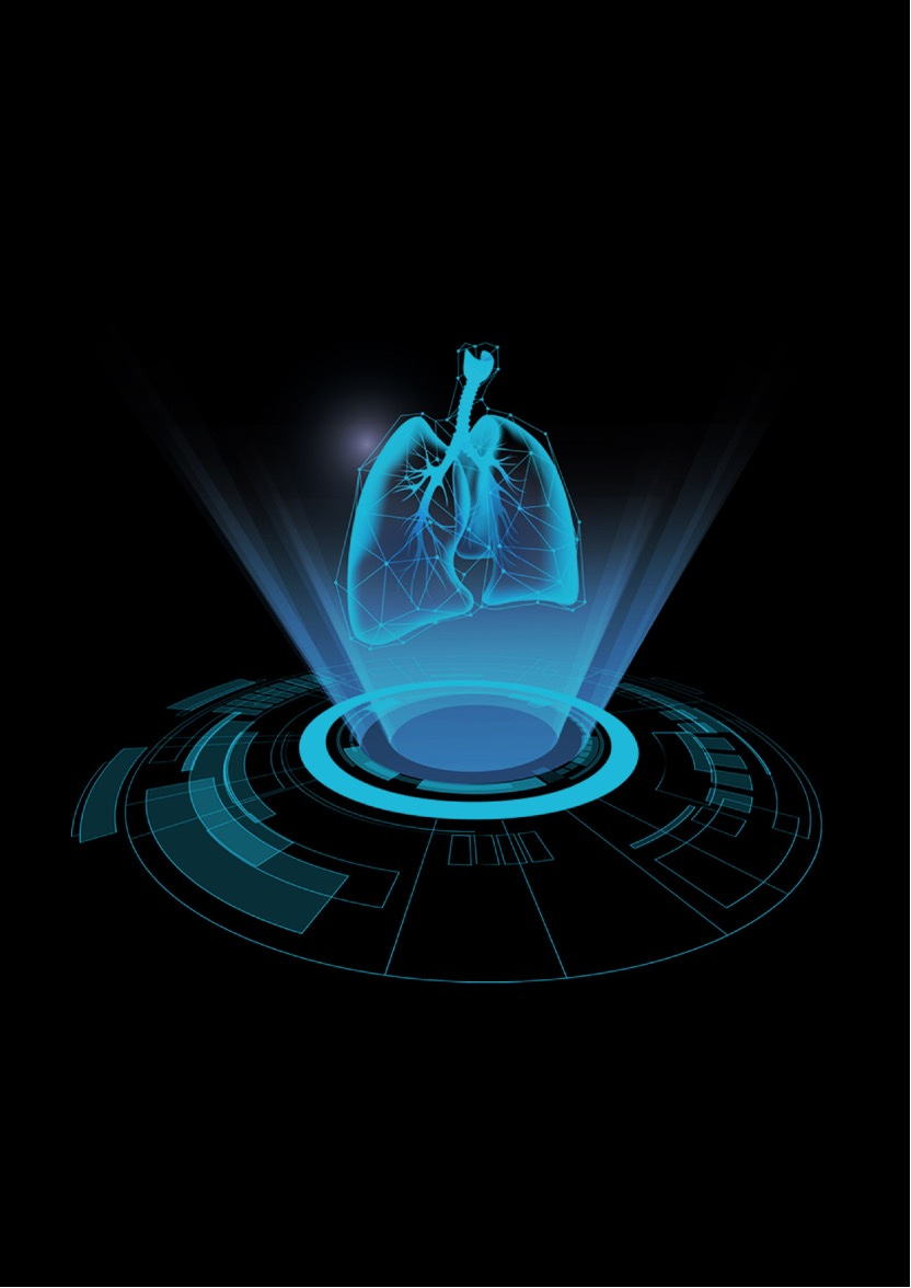 Developing a modular CT/CXR-based AI diagnostic pipeline for respiratory diseases:  from technical pioneer to clinical assistant