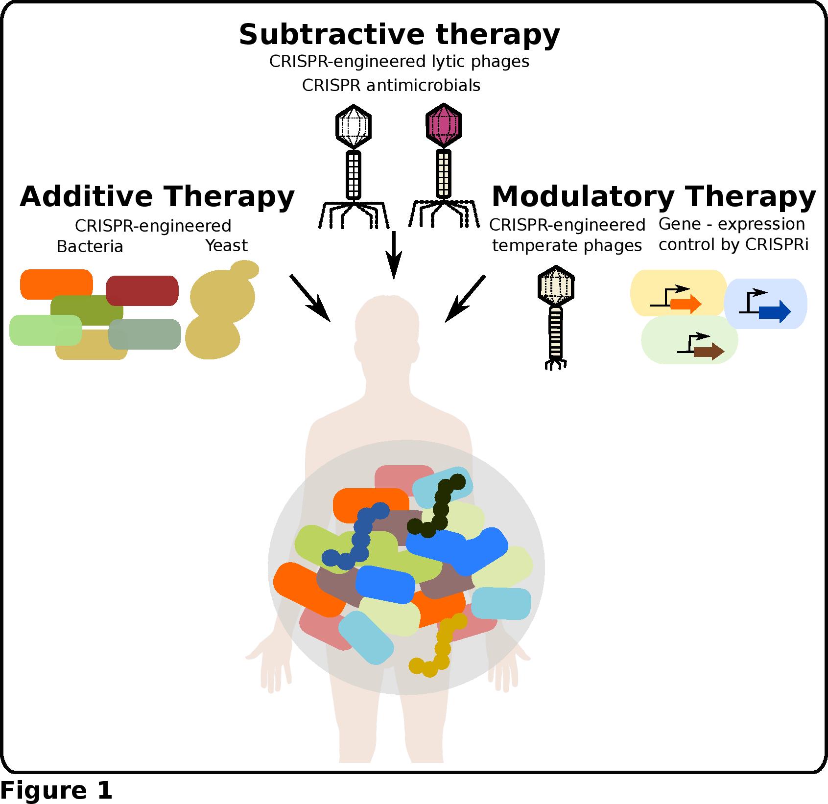 Microbiome Editing using CRISPR-technology