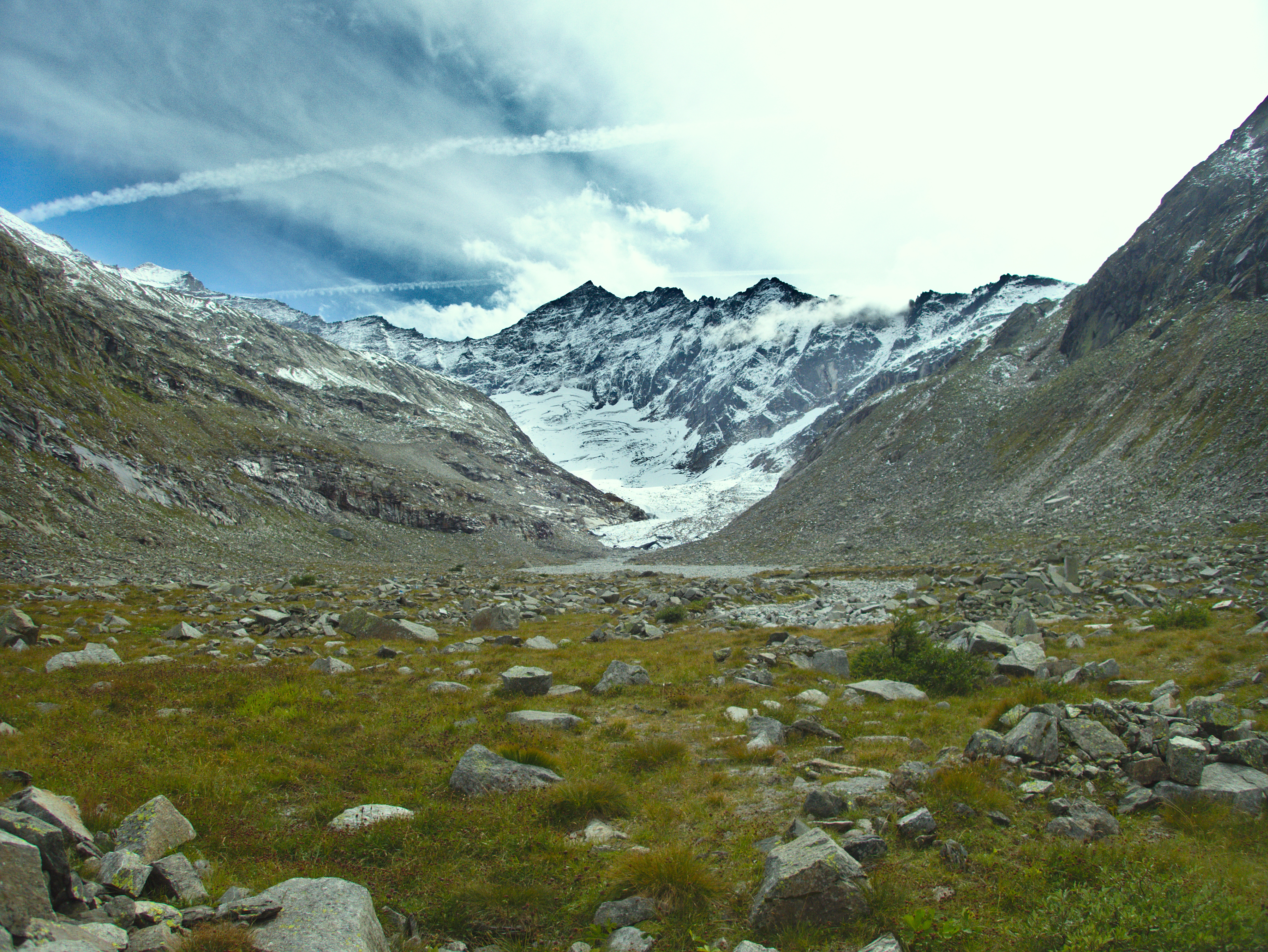 How biodiversity unfolds
