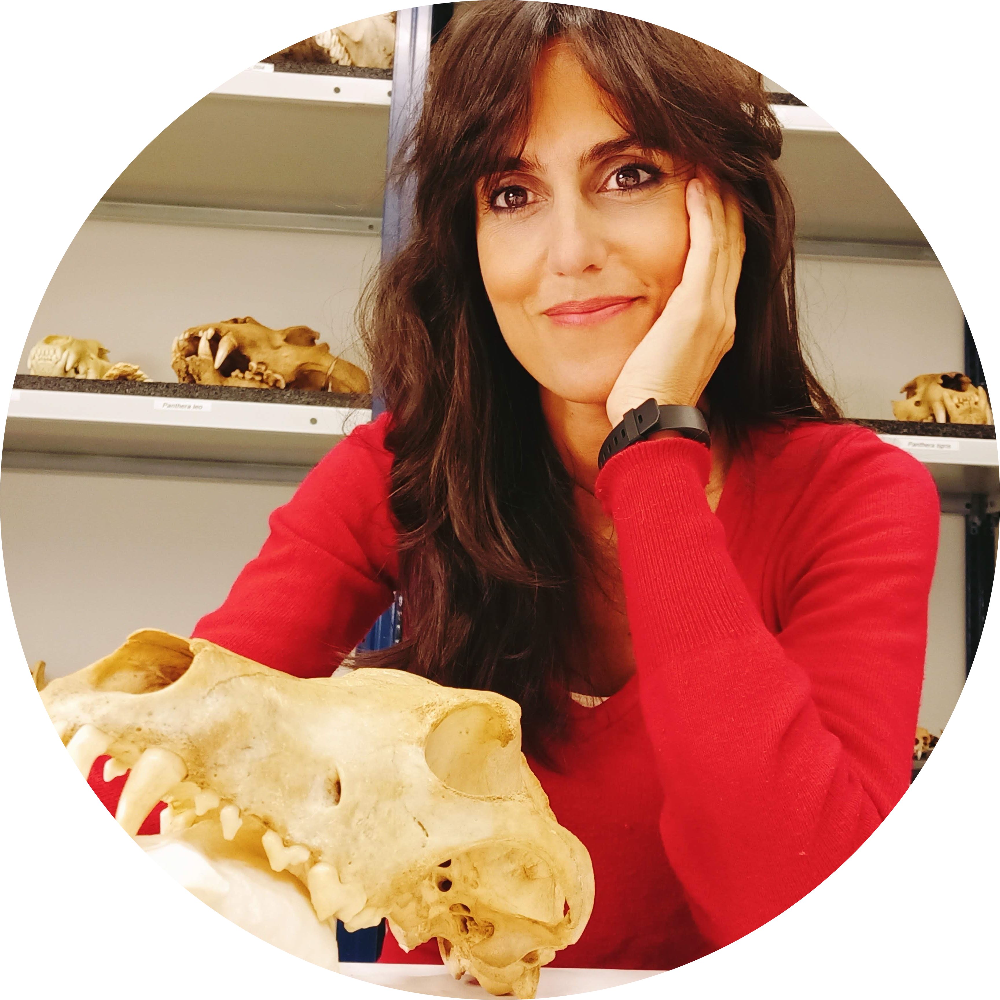 Go to the profile of Ruth Blasco